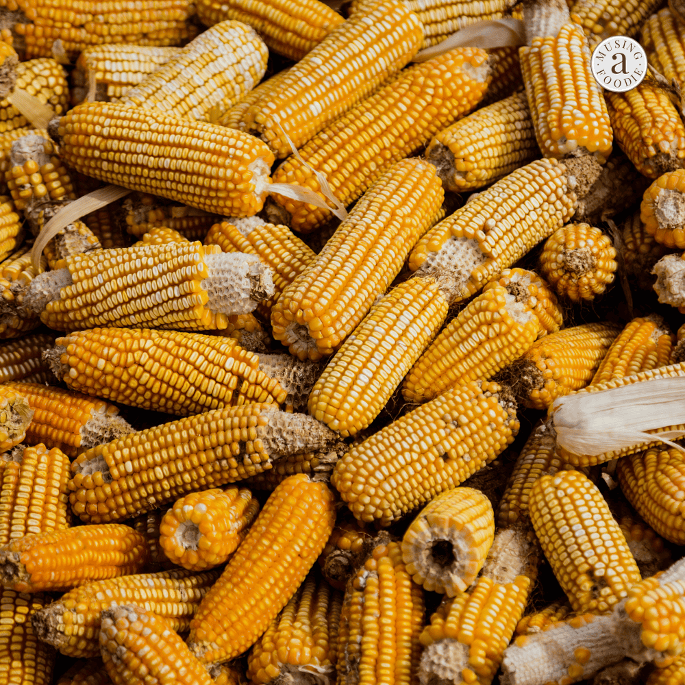 Imperfect, heirloom, colorful, natural varieties of corn and other produce are truly the best tasting AND best looking.