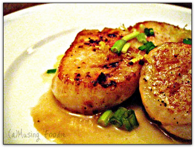 Pan Seared Scallops With Lemon Butter Sauce Pan-seared scallops on a plate.