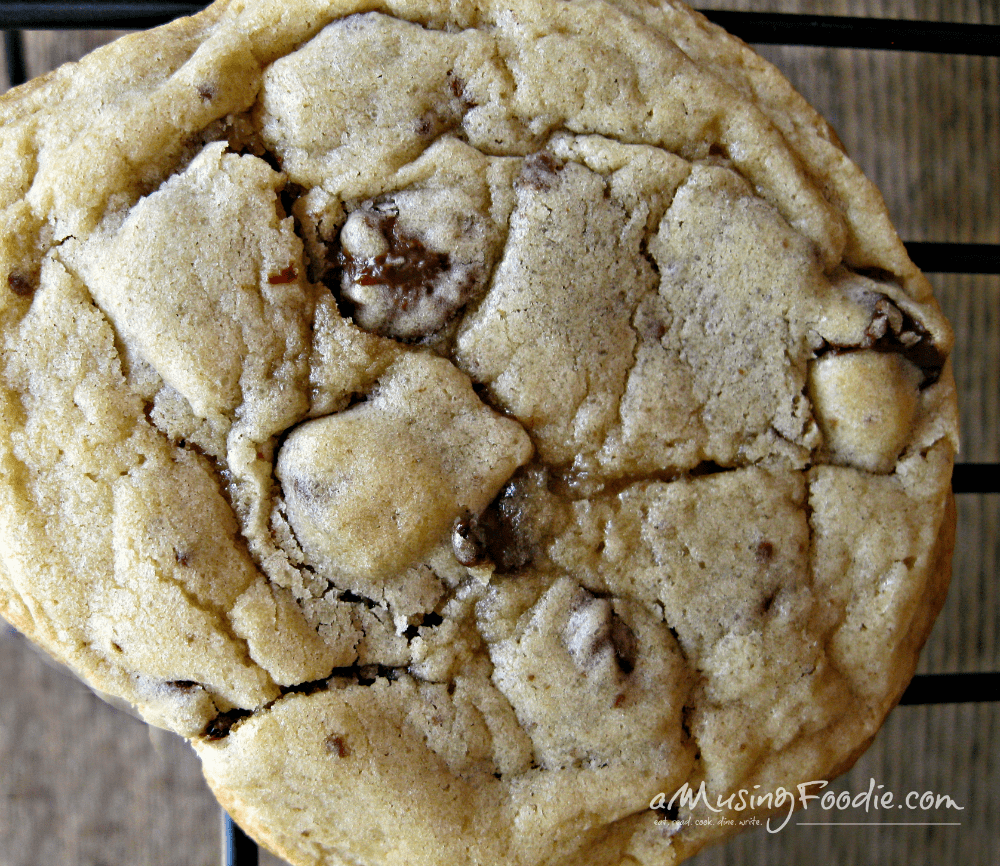 These classic soft and chewy chocolate chip cookies will have you coming back for more. Best eaten warm with a cold glass of milk!