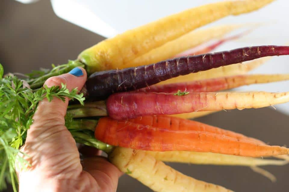 Rainbow carrots rainbow carrots