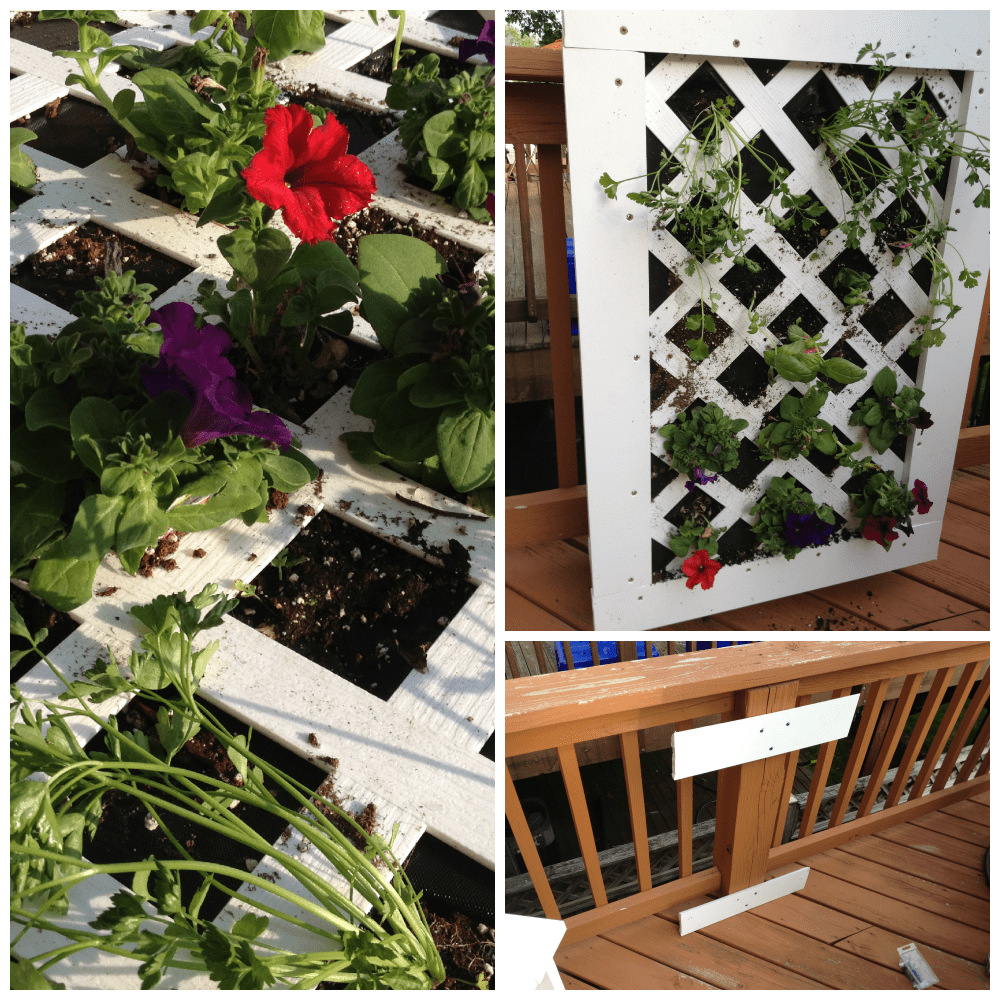 Vertical Garden Project #DigIn How to build a vertical garden