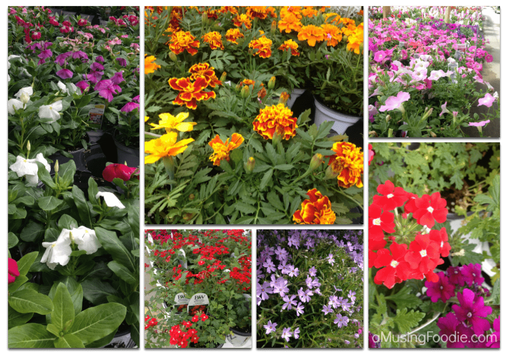 Vertical Garden Project Series: Buying the Materials #DigIn #Ad home-depot-vertical-garden-3