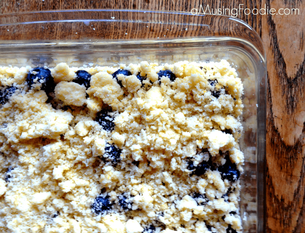 Blueberry Crumble Bars blueberry-crumble-bar-5