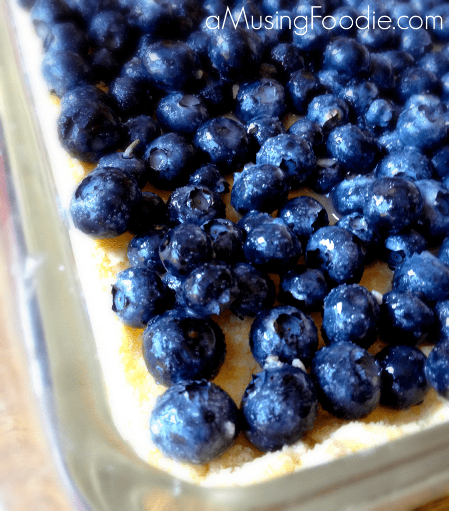 Blueberry Crumble Bars blueberry-crumble-bars-4