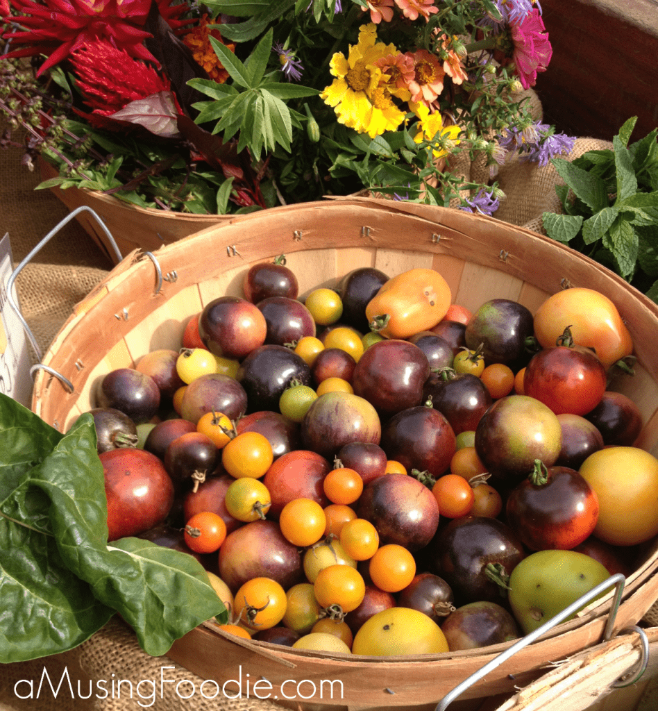 Battery Urban Farm Tomato Harvest battery urban farm, open casting call for home cooks on food network