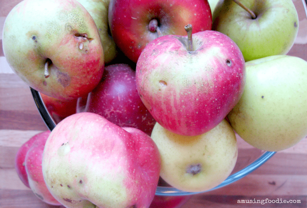 Easy homemade slow cooker applesauce — tastes amazing, and makes your house smell delightful!