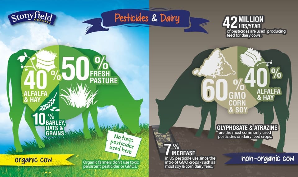 Pesticides and Dairy Infographic Pesticides and Dairy Infographic