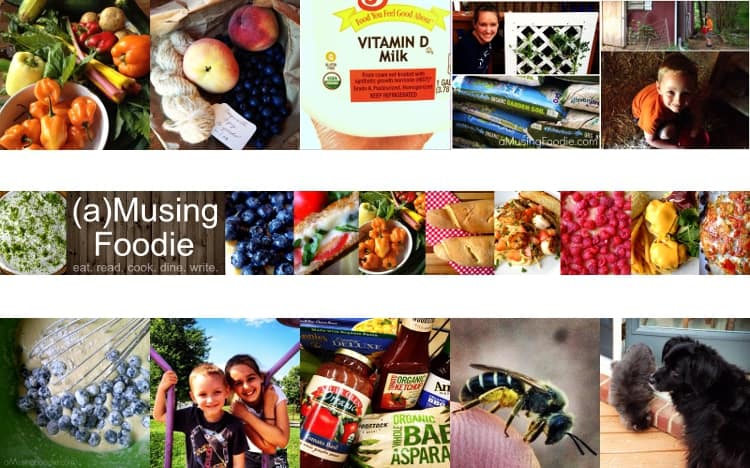 (a)Musing Foodie Stonyfield Ambassador