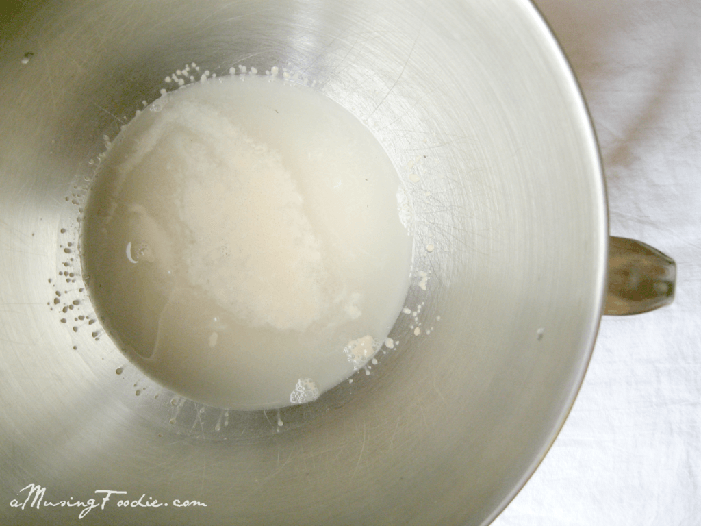 Easy homemade whole wheat pizza dough!