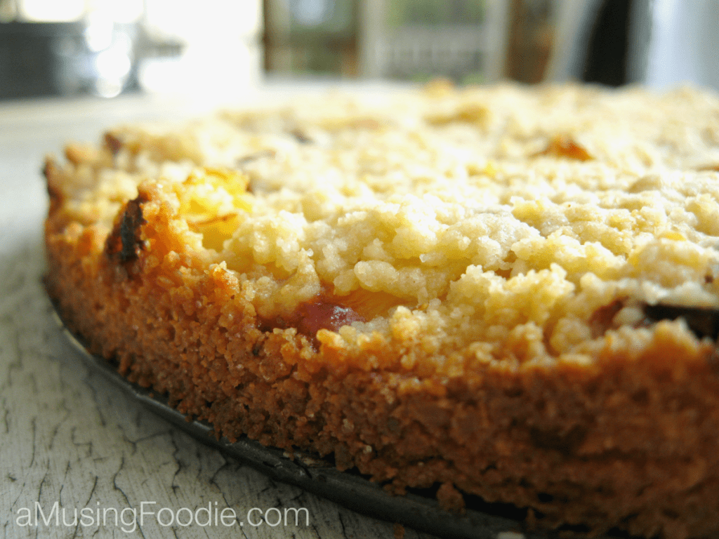 Peach Plum Tart
