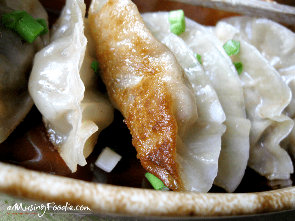 Beef Potstickers