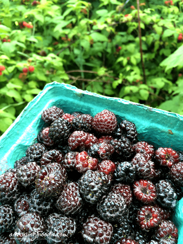 Freshly picked blackberries from the garden.