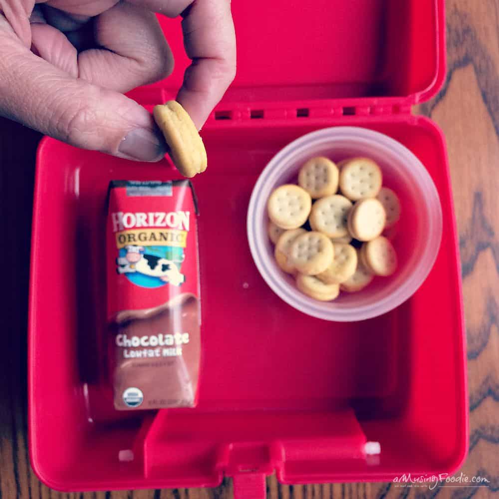 Packing A Tasty School Lunch - 5 Tips!