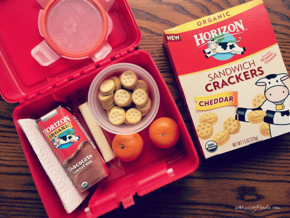 Packing A Tasty School Lunch - 5 Tips!