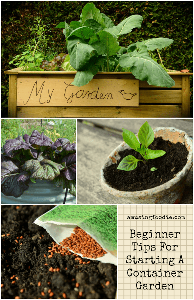 Beginner Tips For Starting A Container Garden