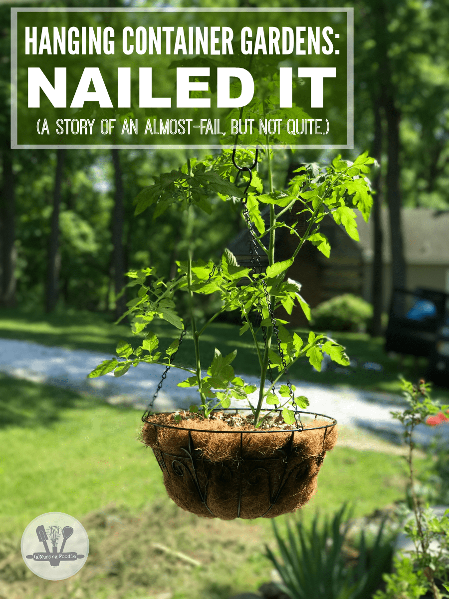 Hanging container gardens: NAILED IT! (A story of an almost-fail, but not quite.)